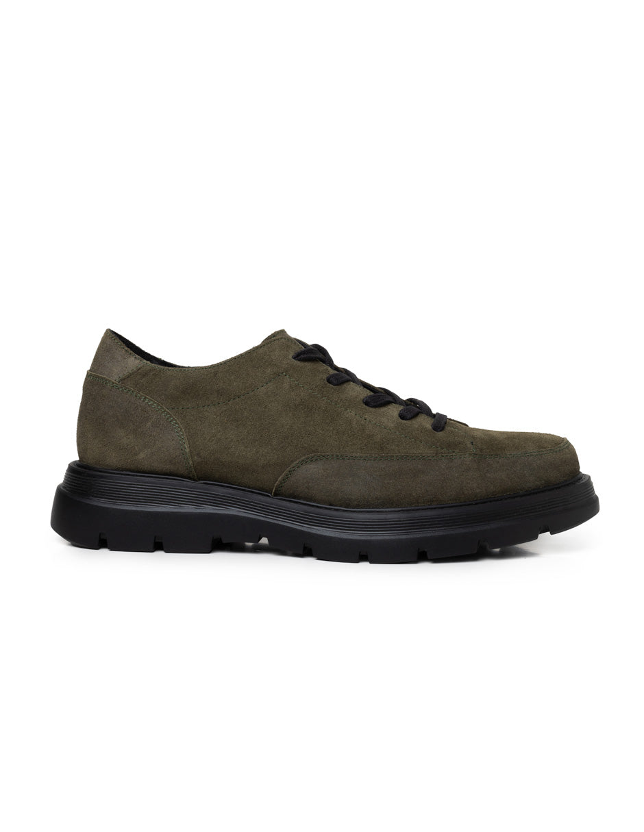 Terzo Olive