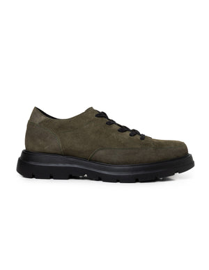 Terzo Olive