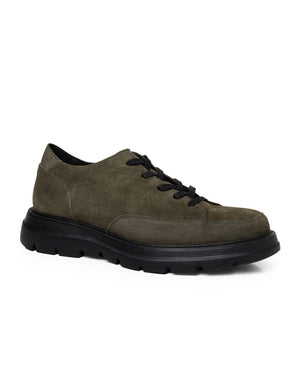 Terzo Olive