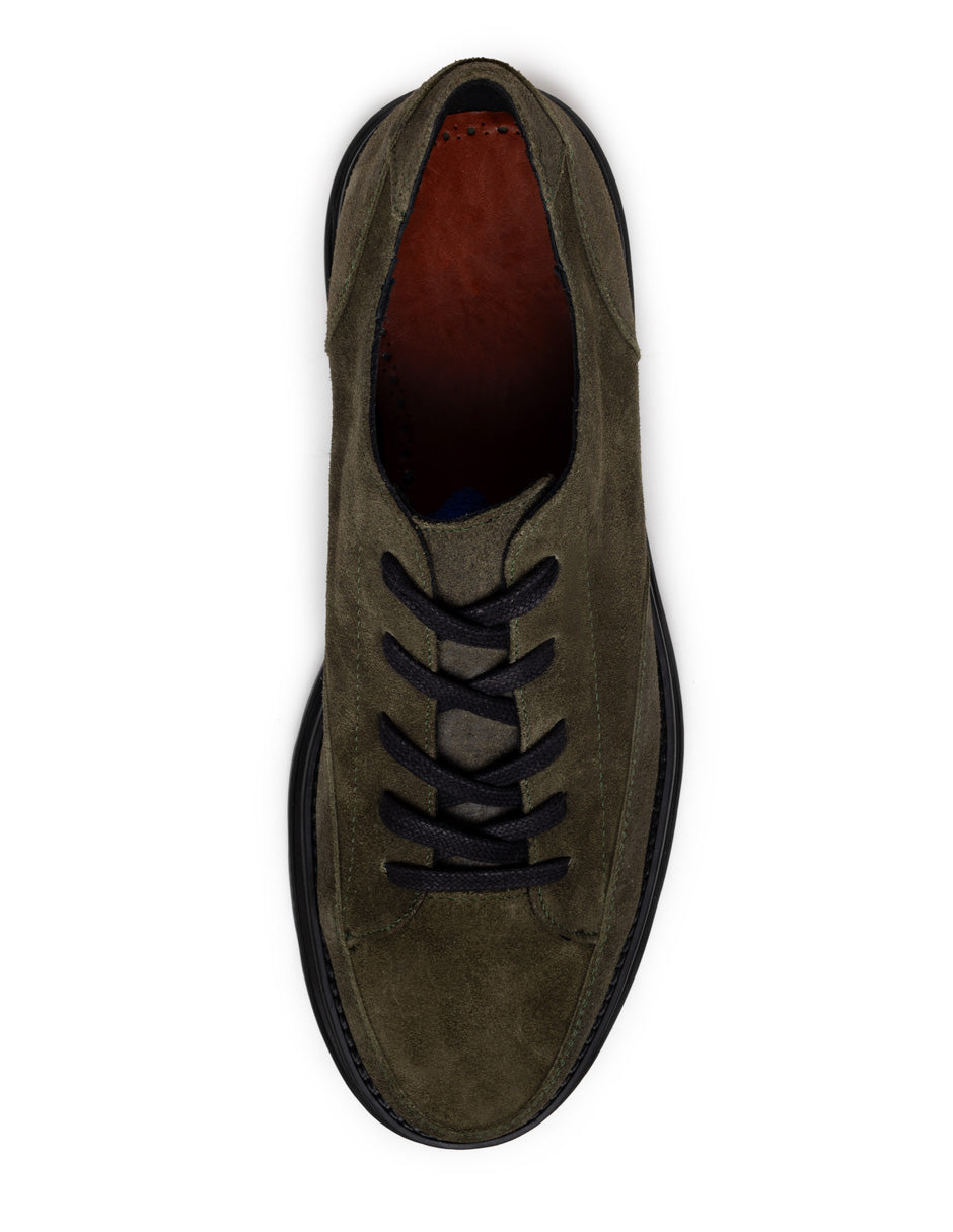 Terzo Olive