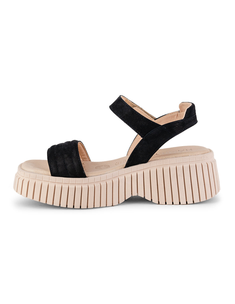 Cora Navy