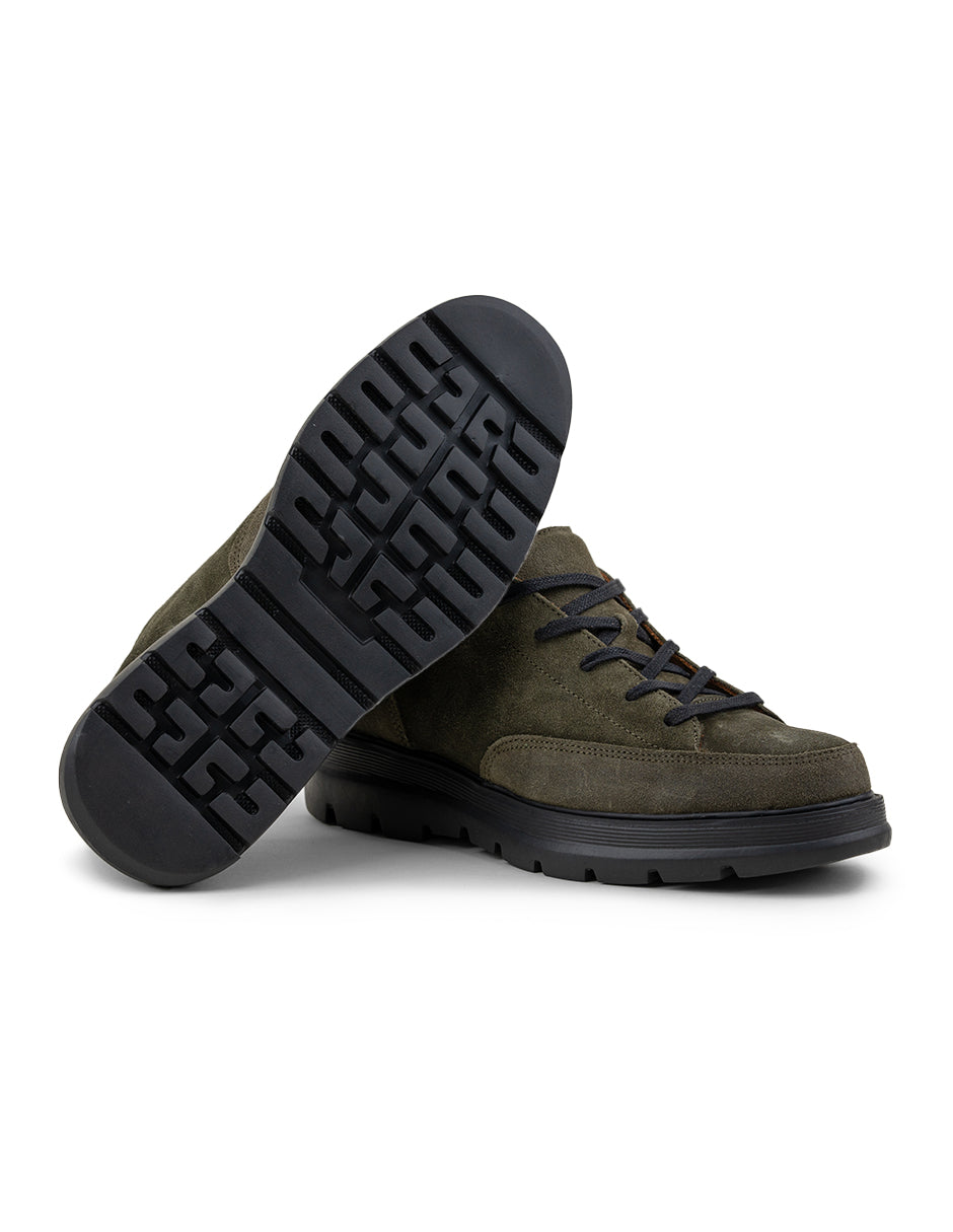 Terzo Olive